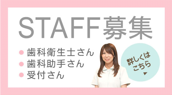 STAFF募集